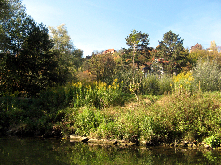 2007-10 Tubingen 064.jpg
